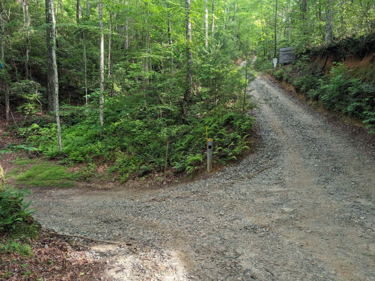 Chestnut Ridge Road/Auger Hole Road photo 2