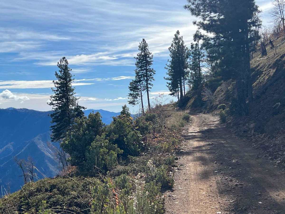 Trumbull Peak photo 5