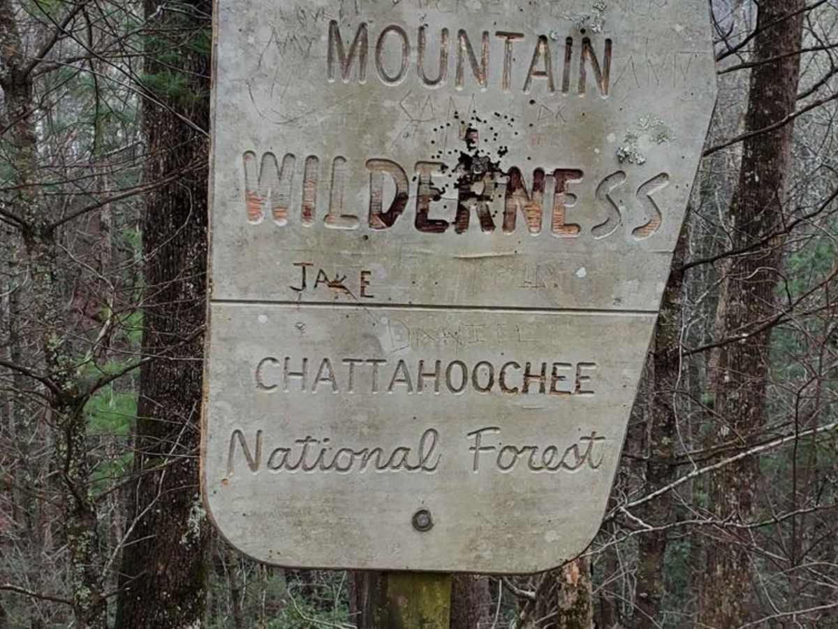 Stanley Gap - FSR 338 photo 5