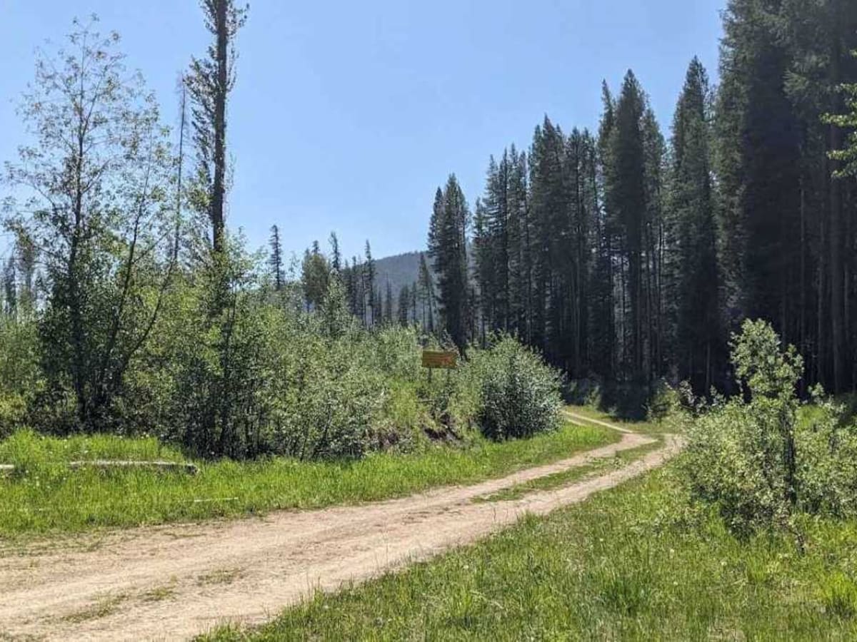 Lodgepole Pass photo 2