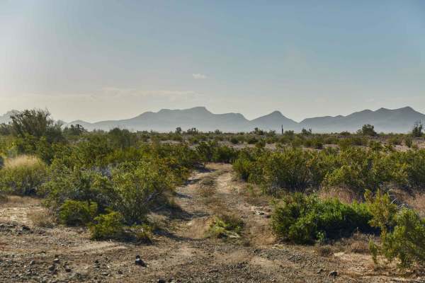 Palomas Trail - 083