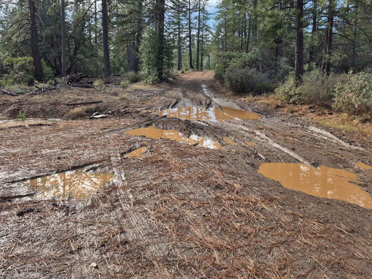 South Volcanoville (13N56) photo 6
