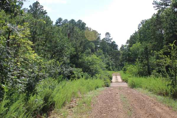 Girard Road to White Oak Road