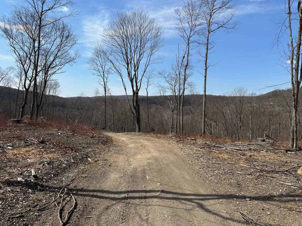 Ashland 20 trail photo