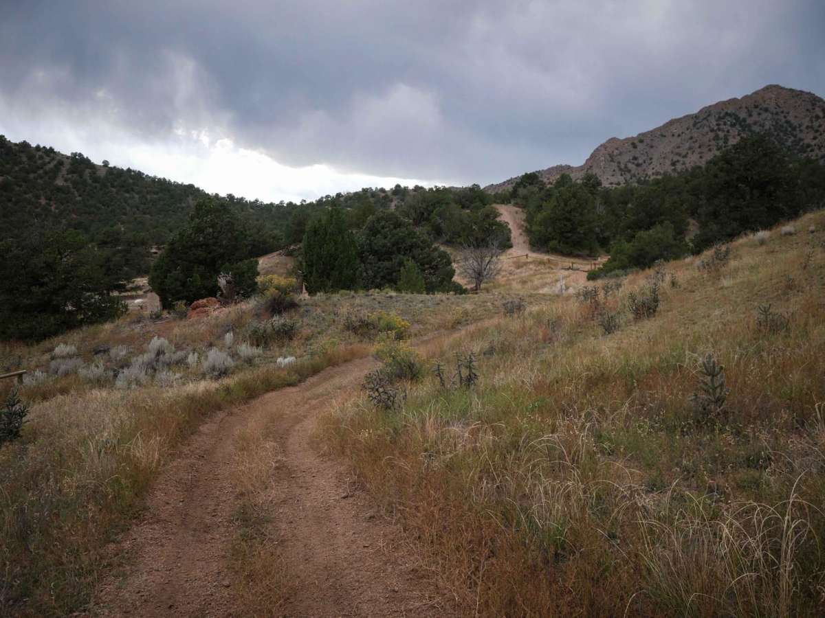 Lonestar ATV Loop trail photo