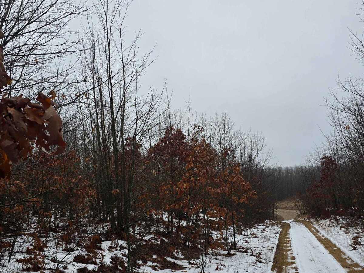 Oil Well Trail photo 5