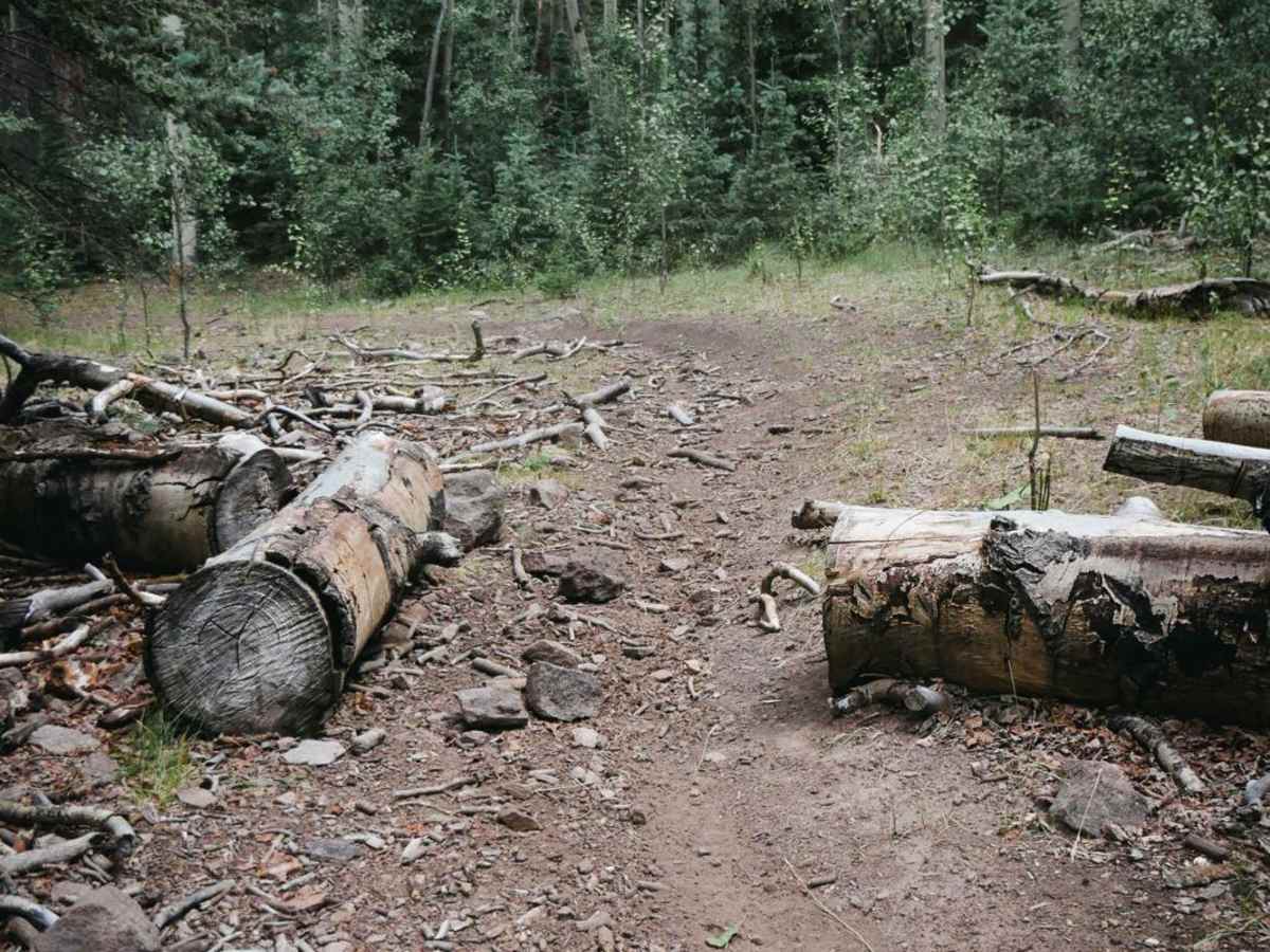 Hot Creek Trail photo 5