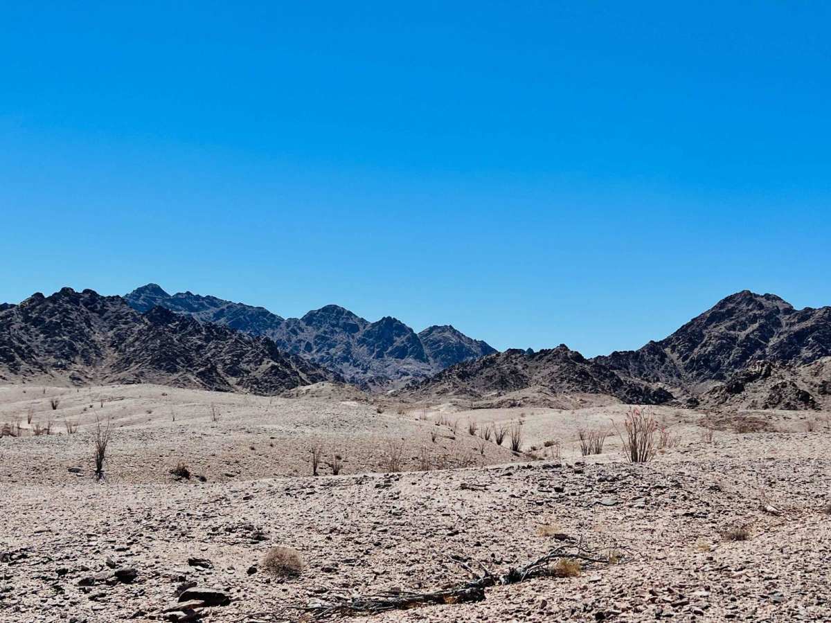 Ocotillo Out and Back 661 photo 4