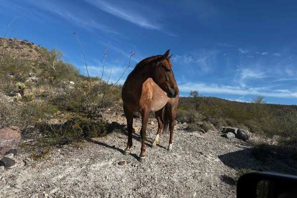 Black Canyon City Overlook