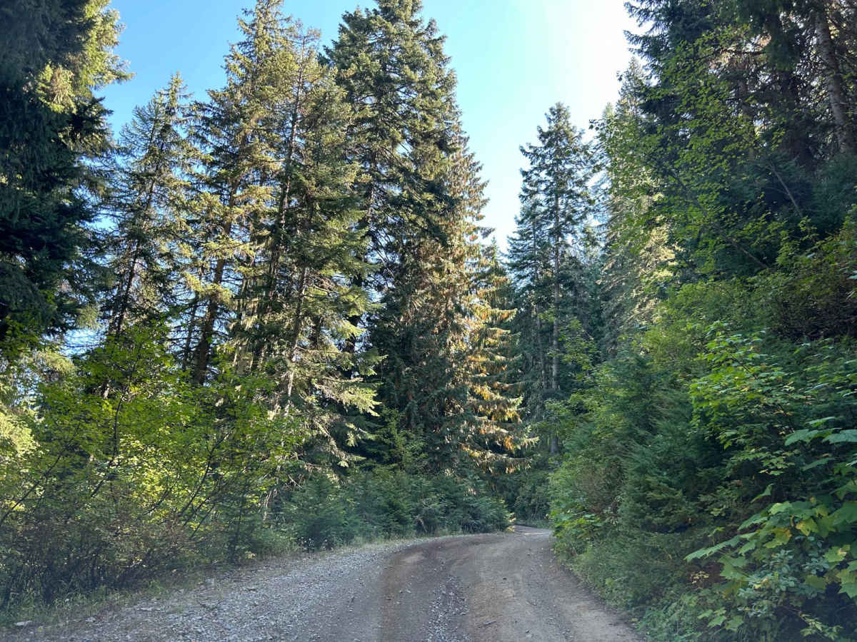 NSFDR 985 Slate Creek Bypass photo 5