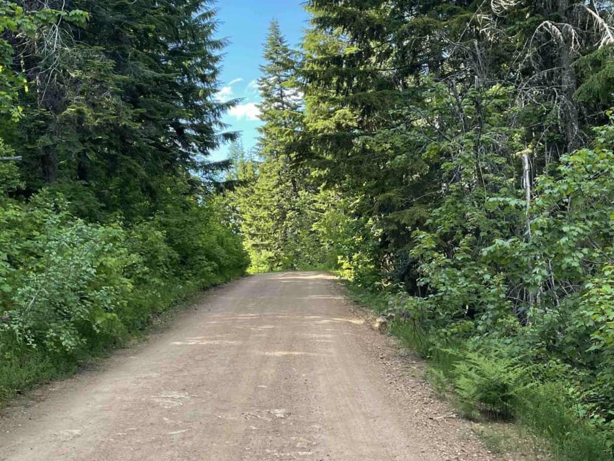 North Chilco Road photo 3