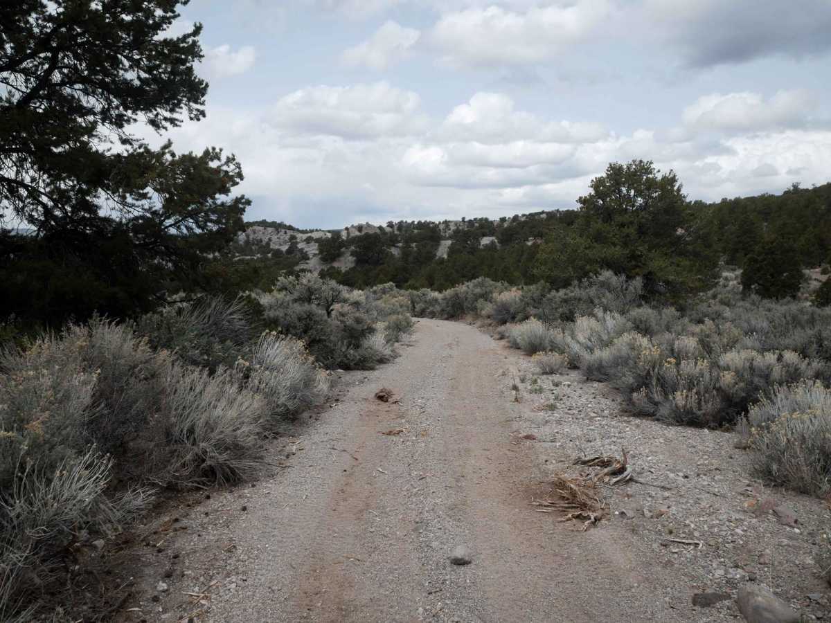 Horse Valley ATV Trail photo 6