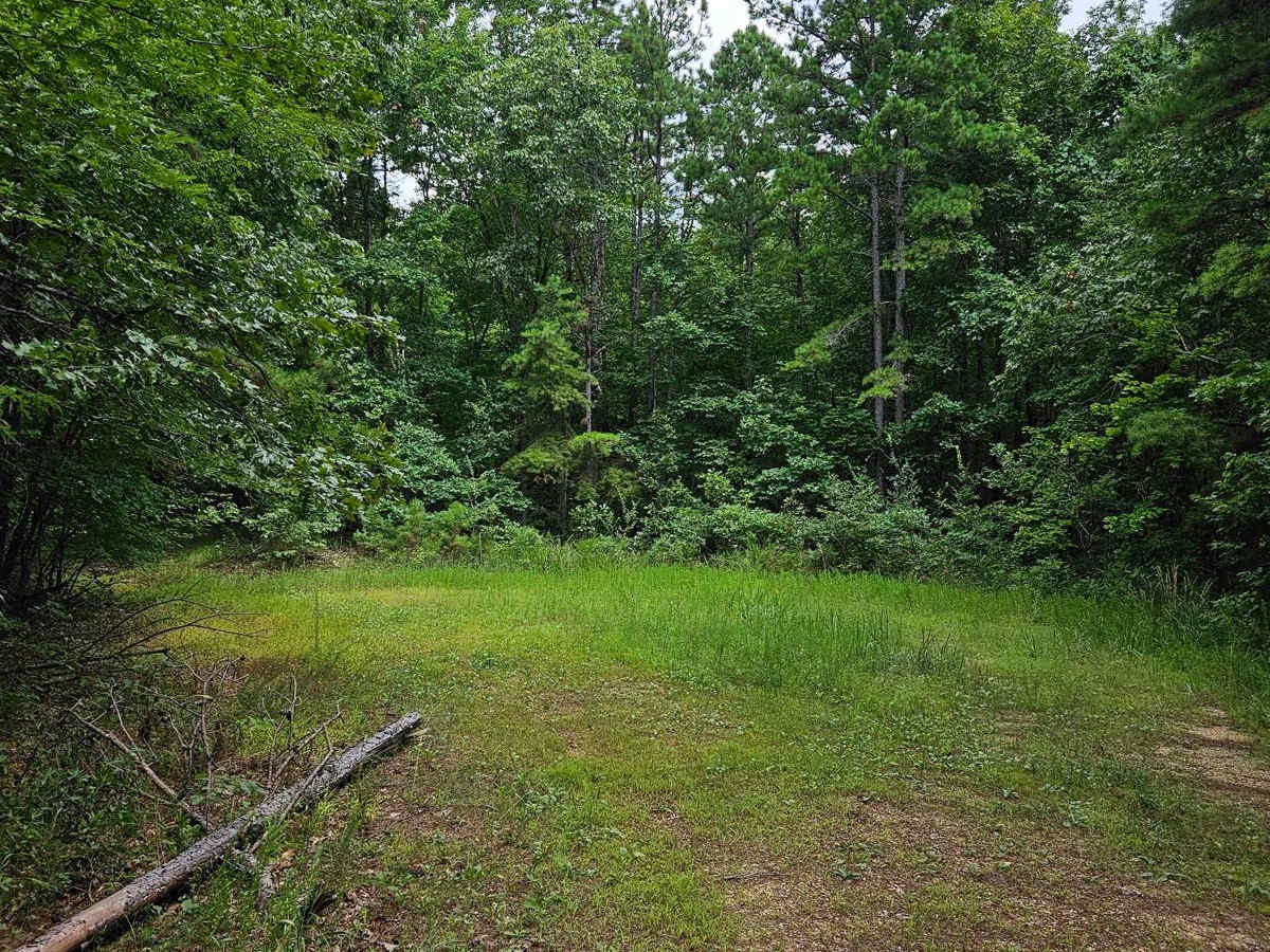 Camp Roy - FSR 3208 photo 5