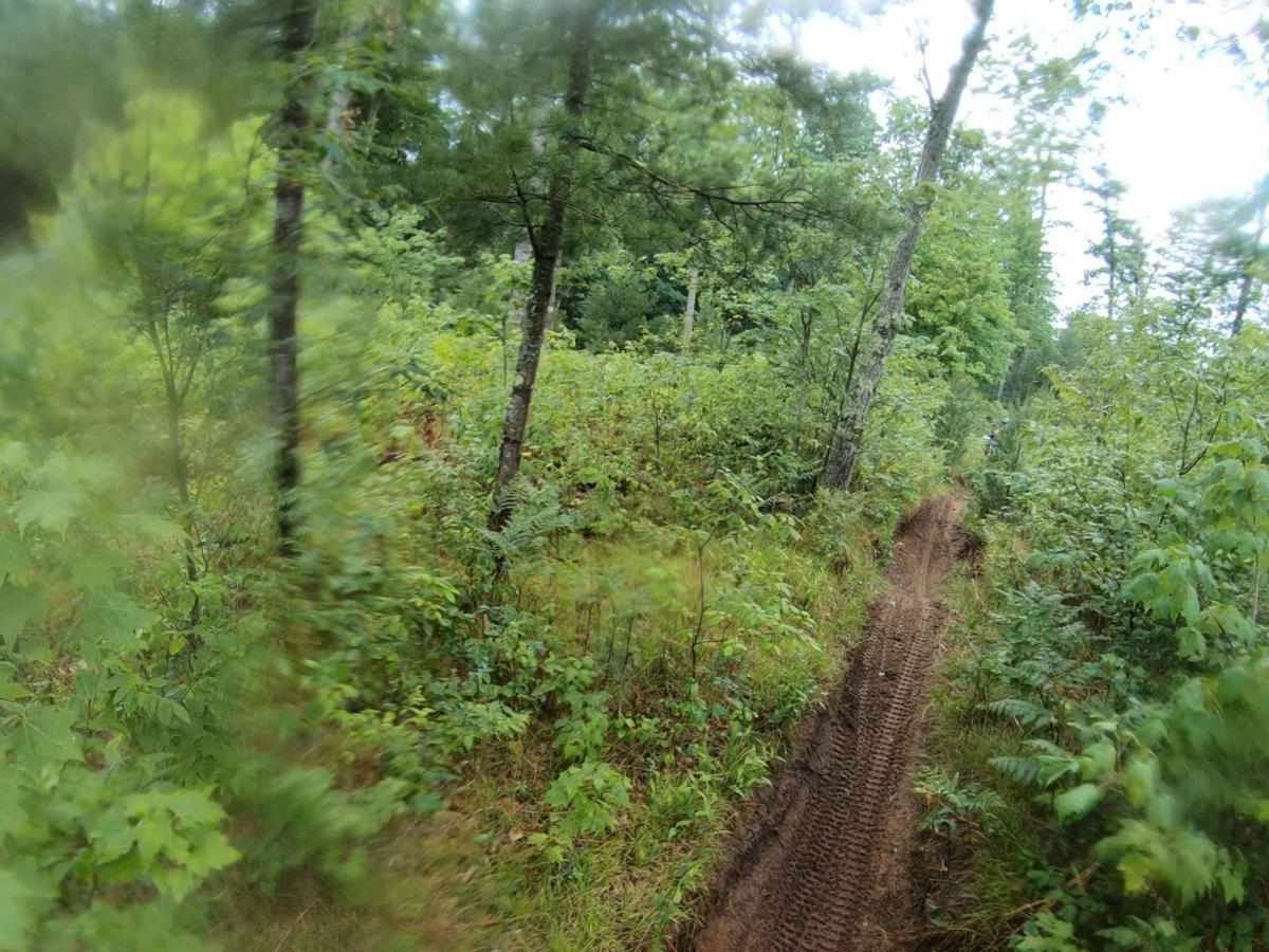 Lincoln Hills Single Track photo 2