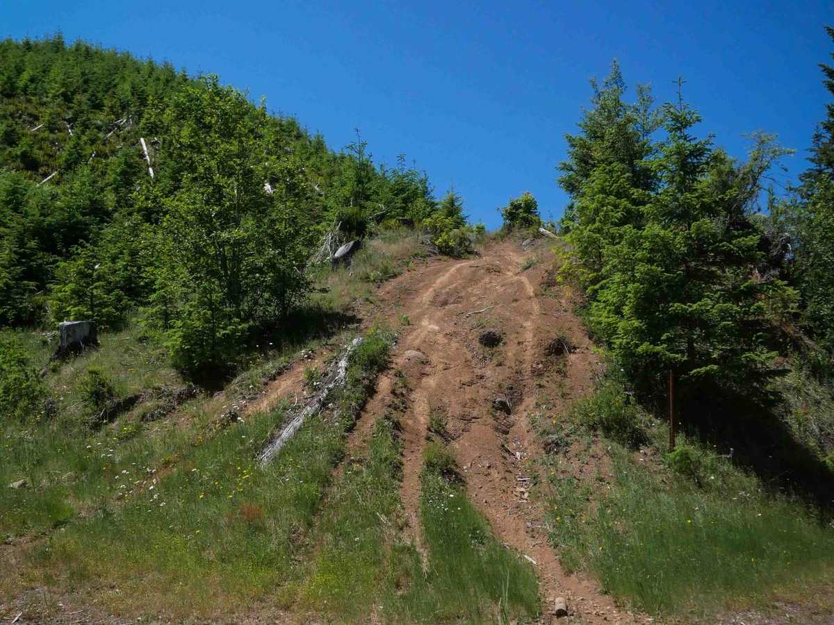 #127 (Part 1) trail photo
