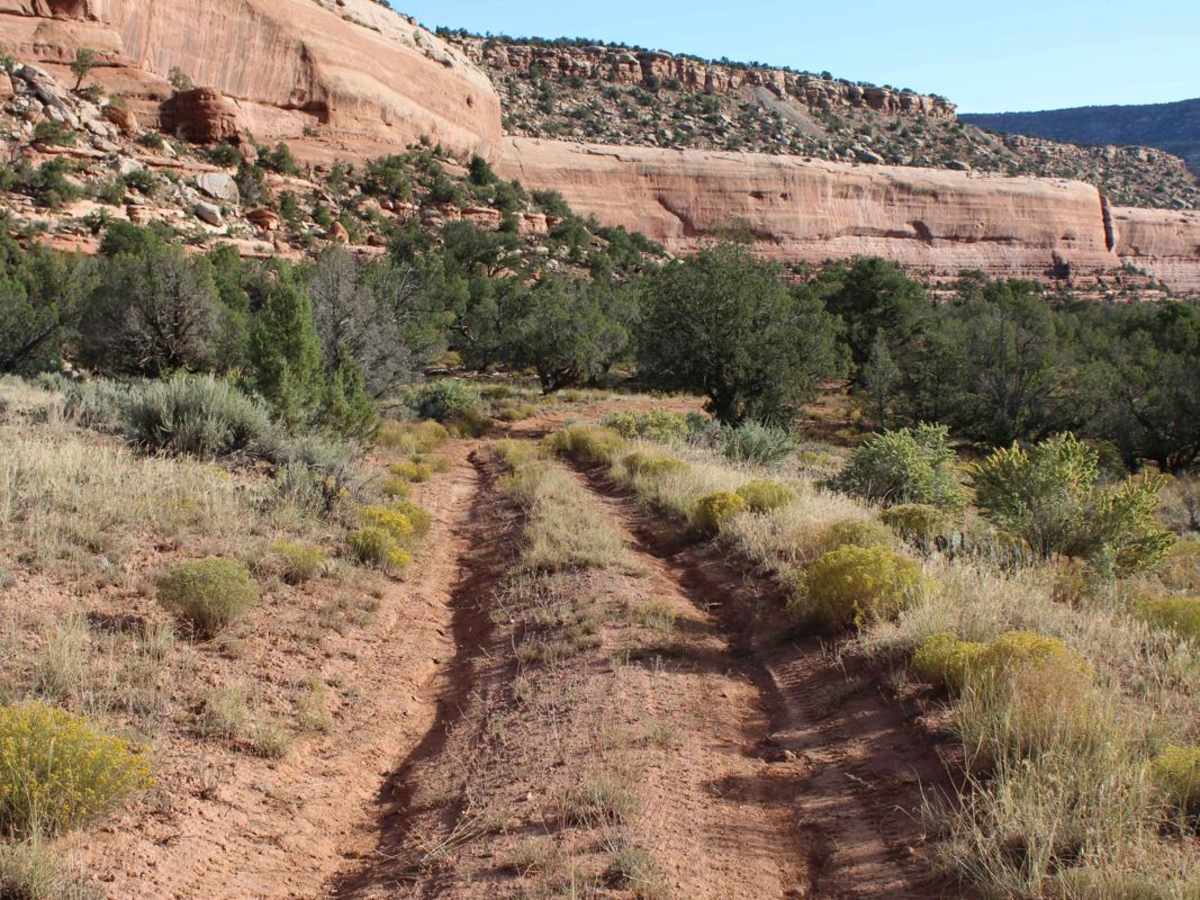 Red Canyon Paradox Trail photo 4
