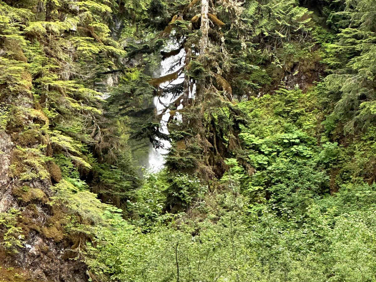 Well's Creek Road photo 6