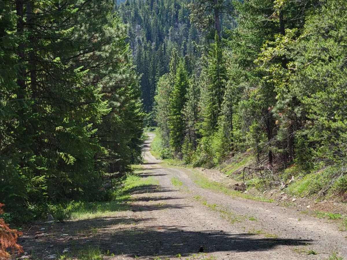 NF 700 - Libby Lake Trailhead photo 6
