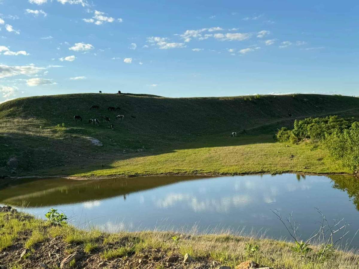 Lake Loop photo 3