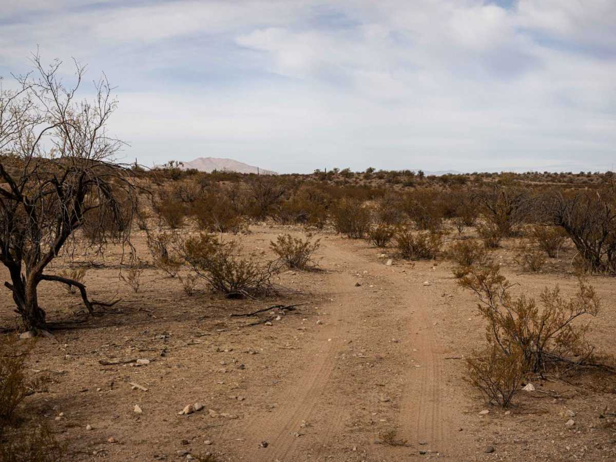 Dead Horse Wash trail photo