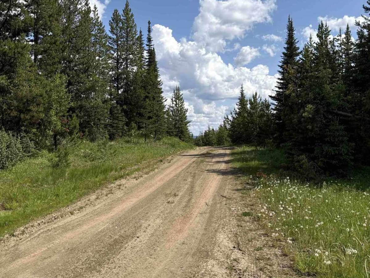 Min Lake Road photo 4