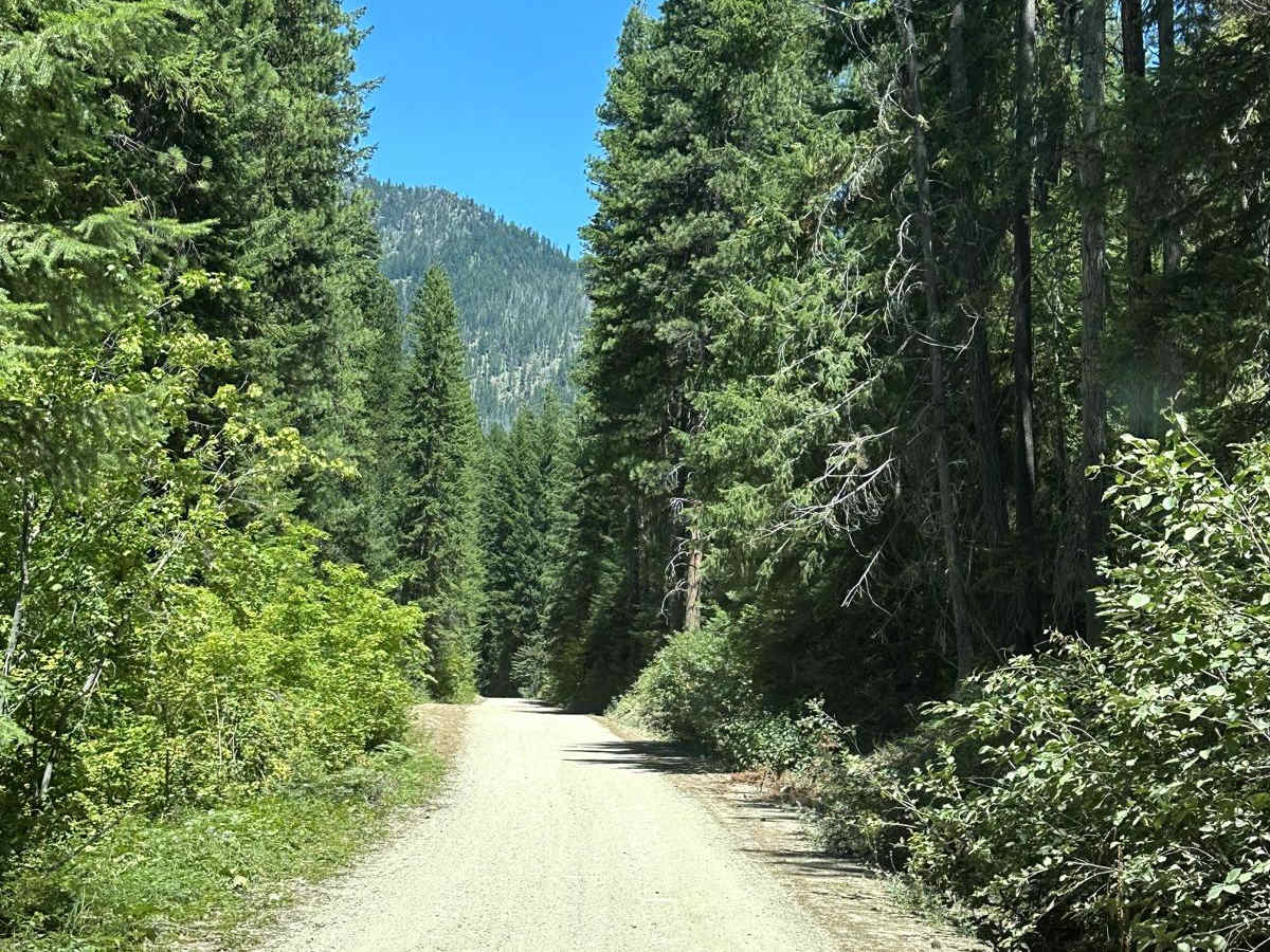 Deer Camp Trail photo 5