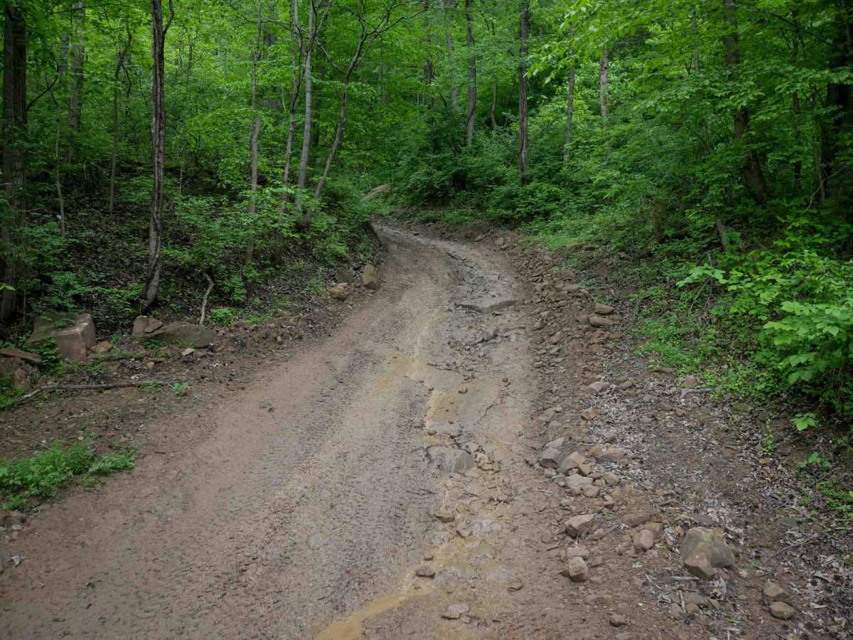 BM 36 photo 3