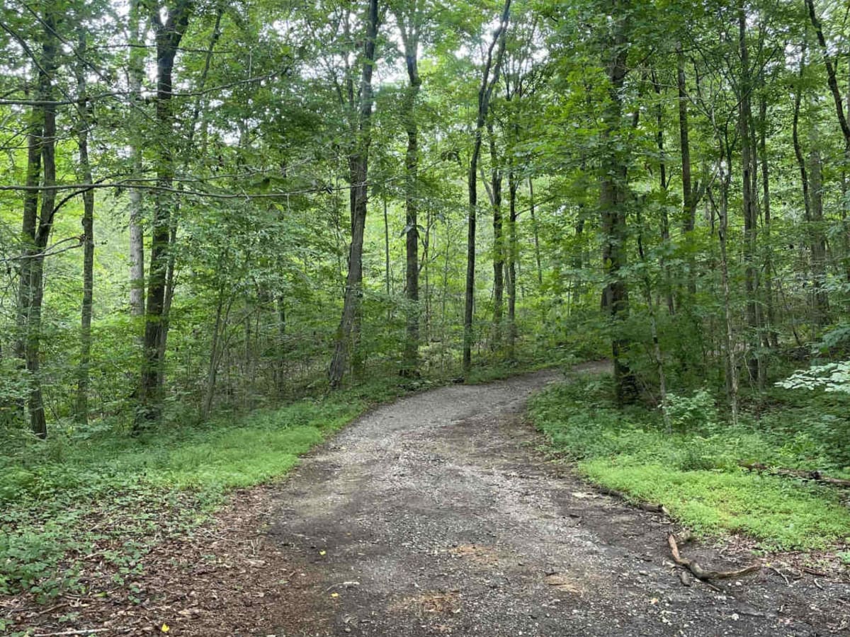 Tower Hill Road to Spruce Ledge Road photo 2