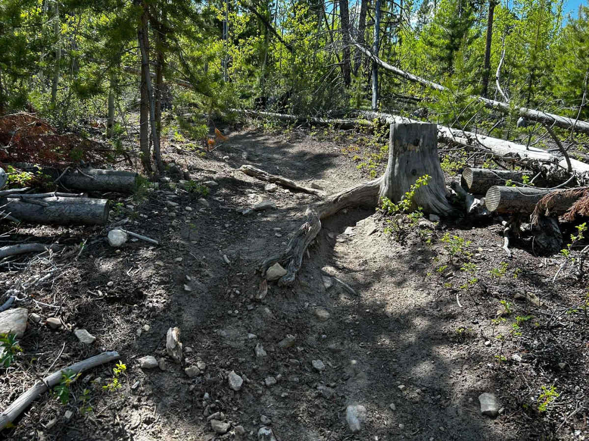 Snyder Creek Loop North Central photo 3
