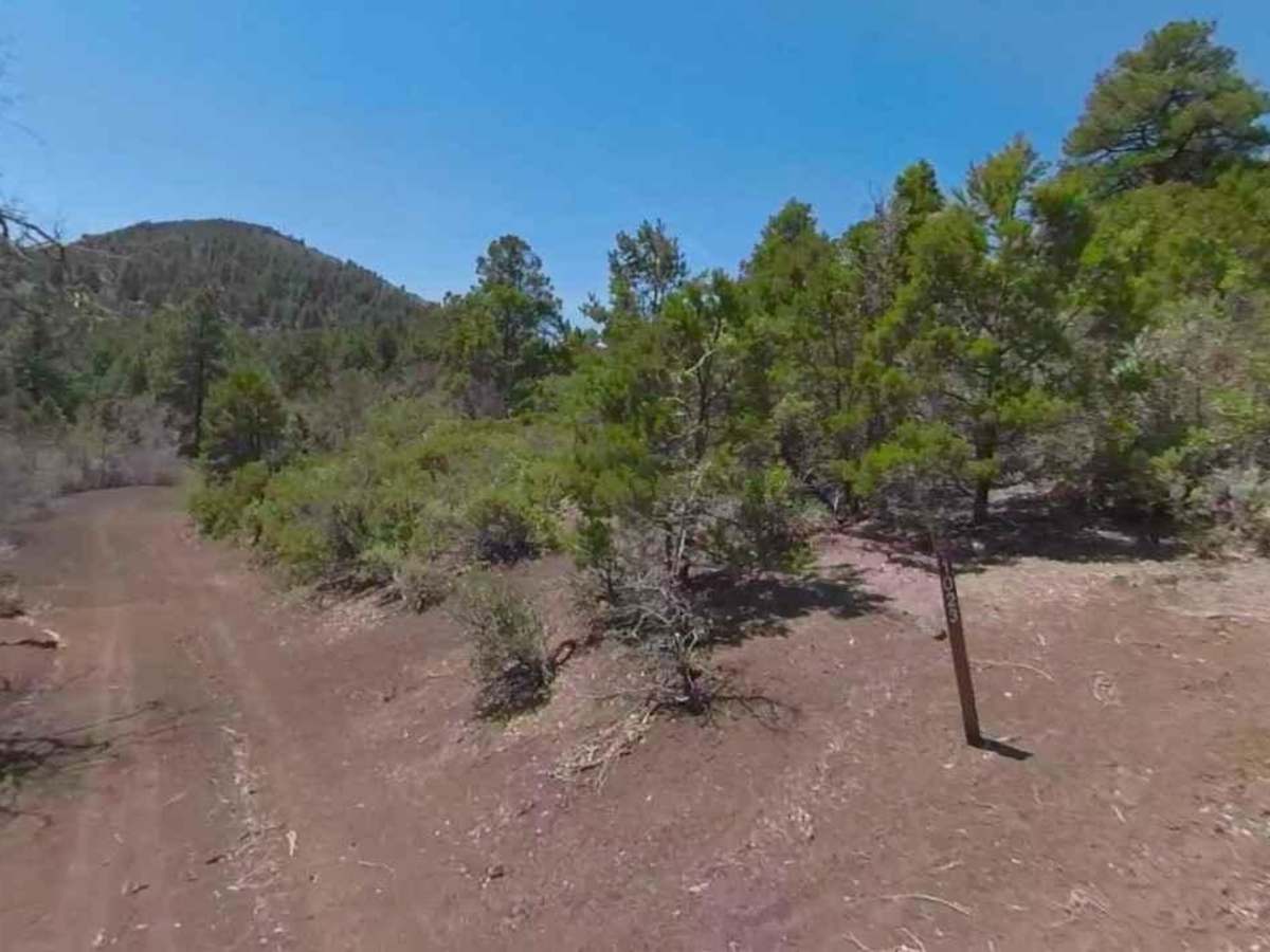 Nixon South Road BLM 1044 photo 2