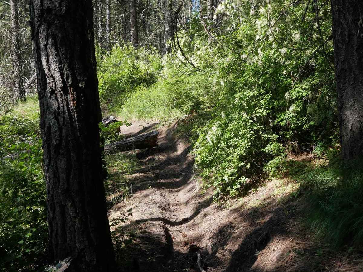 Rocky trail photo