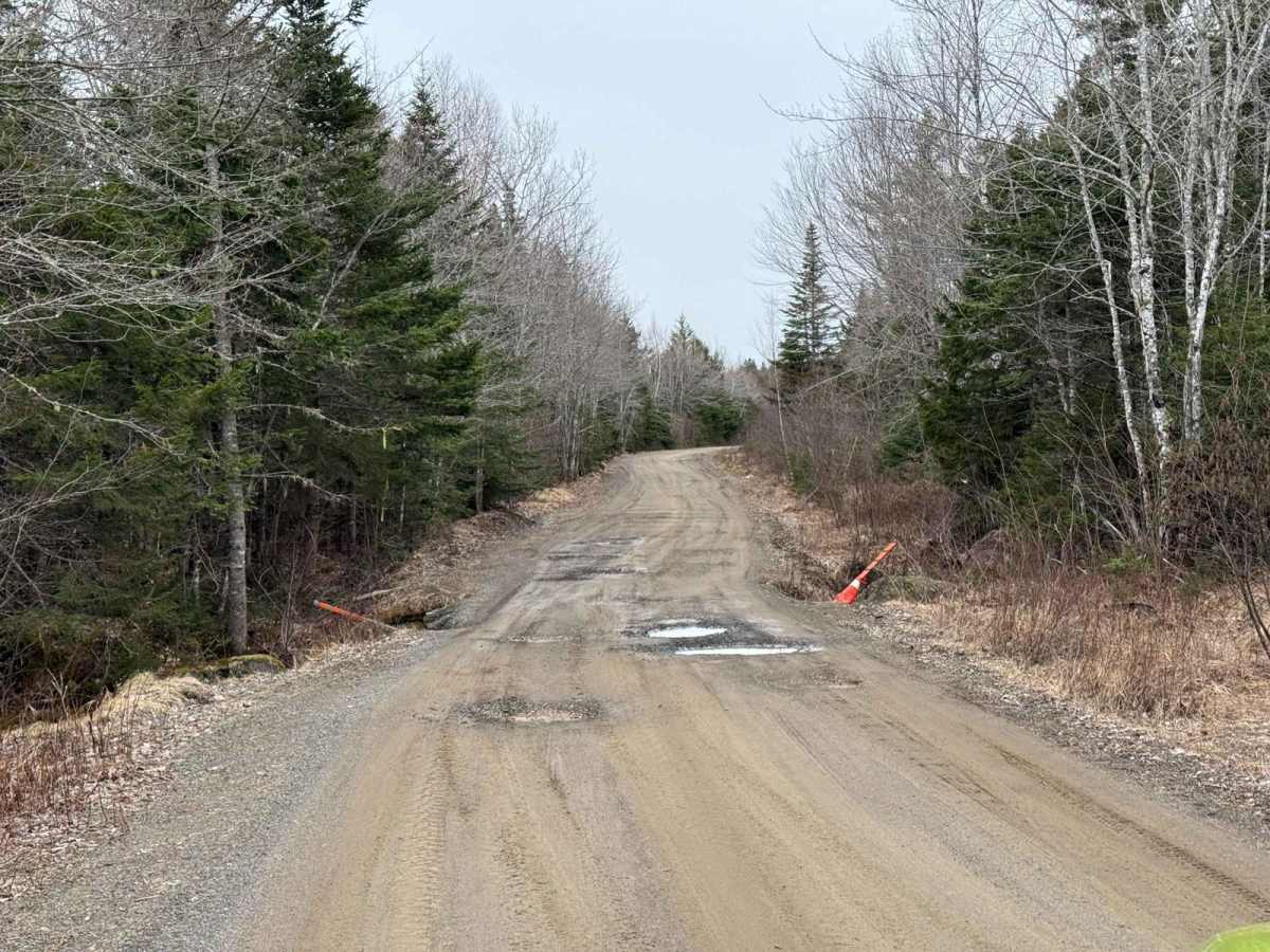 Thorne Road Trail photo 4