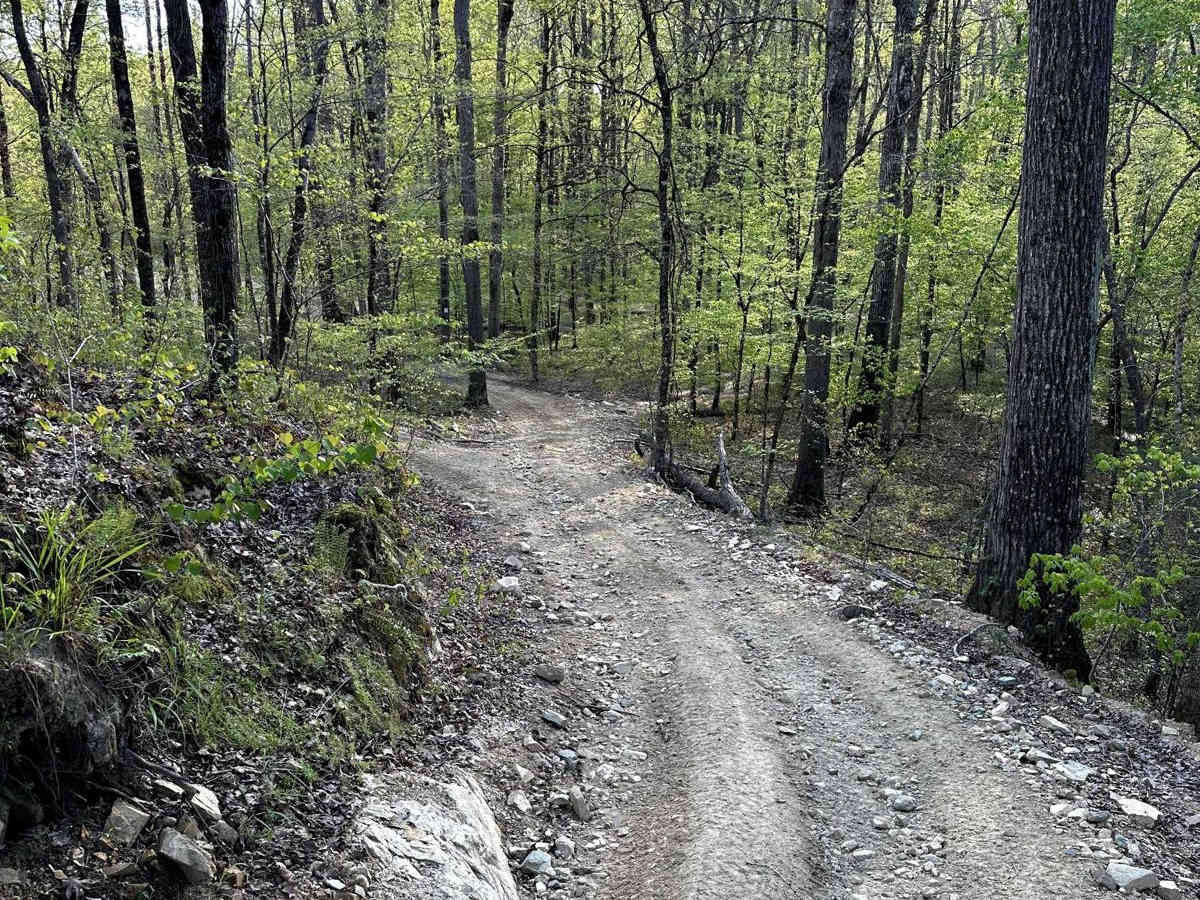 Trail 28 photo 4