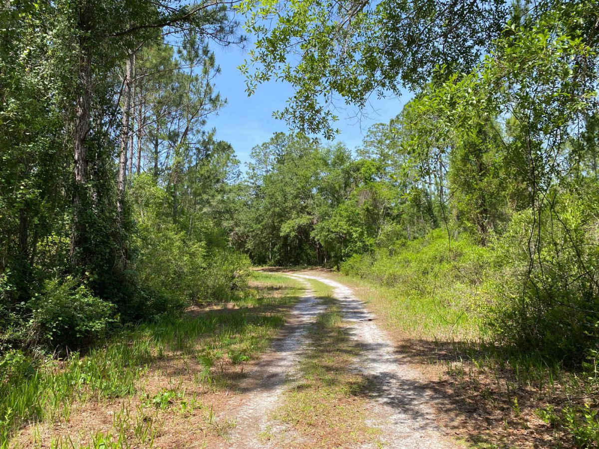 Deserters Loop photo 6