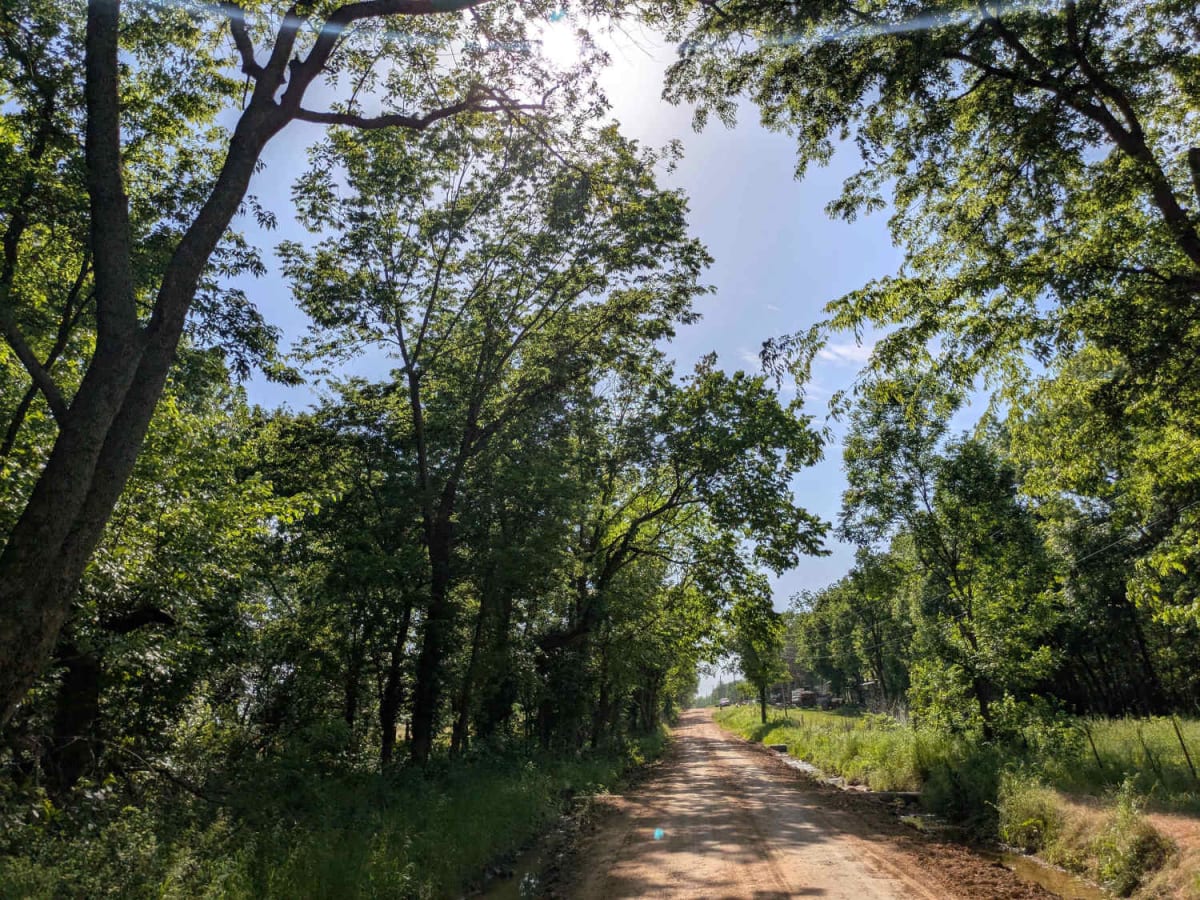 East 290 trail photo