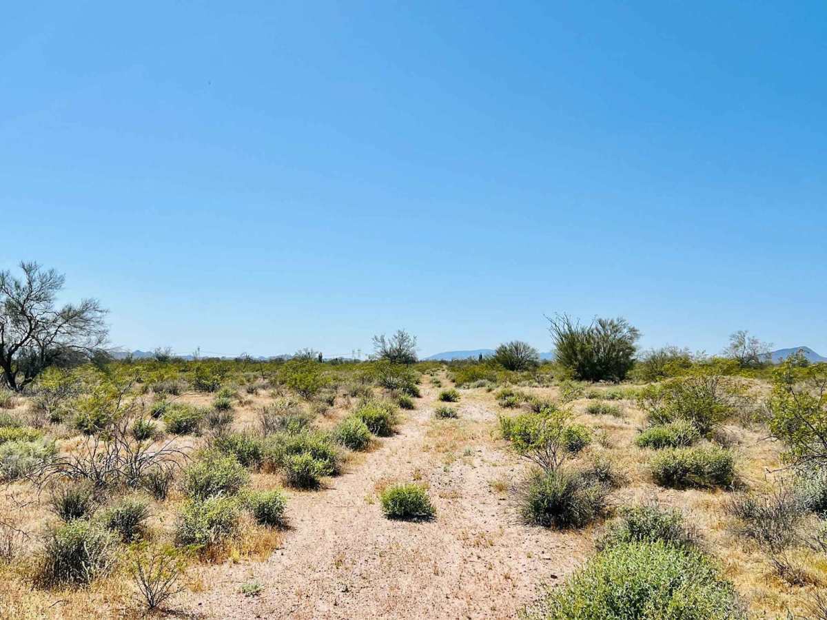 BLM 9090a Dead End photo 6