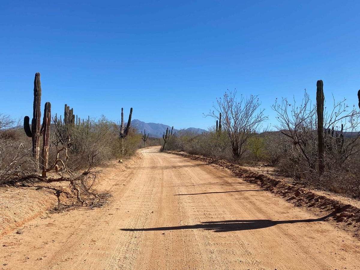 Rancho El Ademado Road photo 6