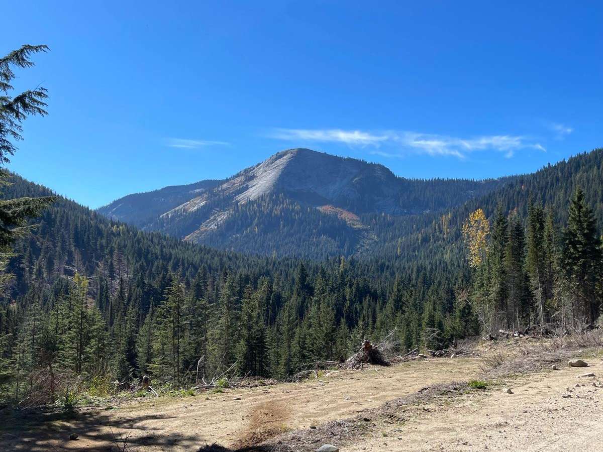 Myrtle Creek 633 trail photo