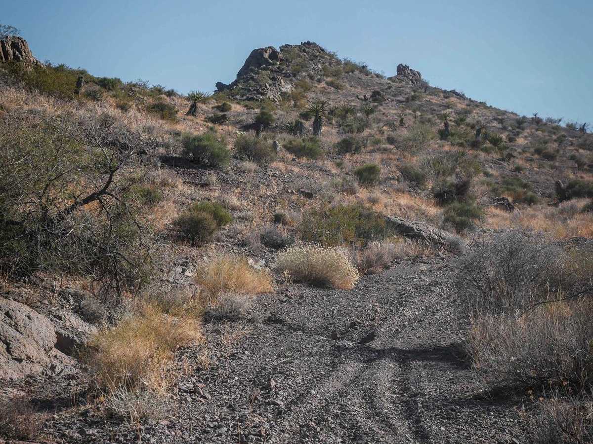 Wash to Ridge Single Track photo 5