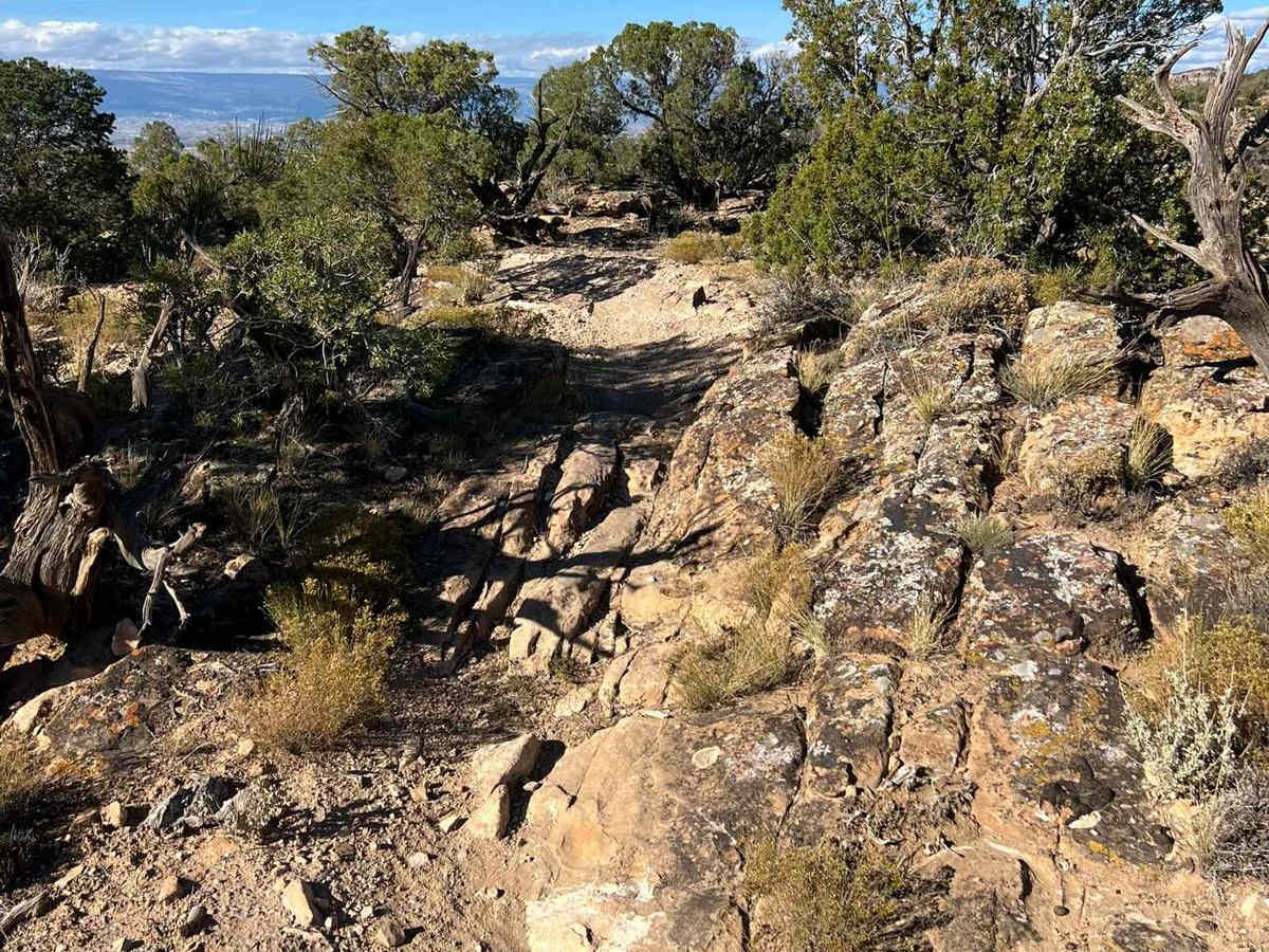 Red Rocks- Night Horse Trail photo 6