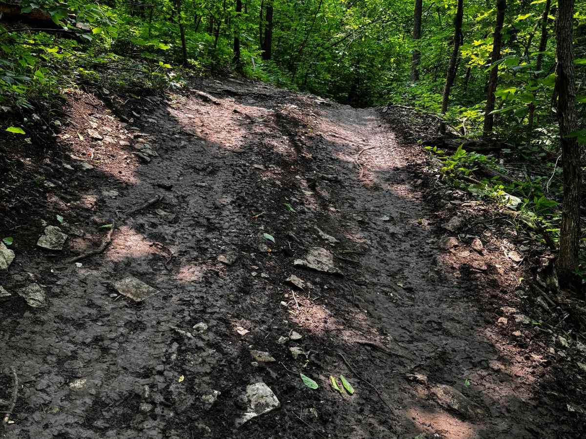 Yellow 62 trail photo