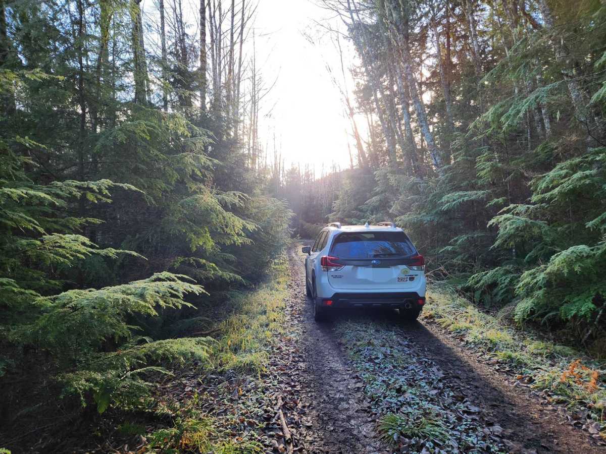NF 2581 - Puddlejumper trail photo