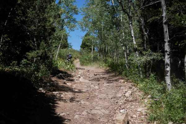 Bailey Ridge #3118 