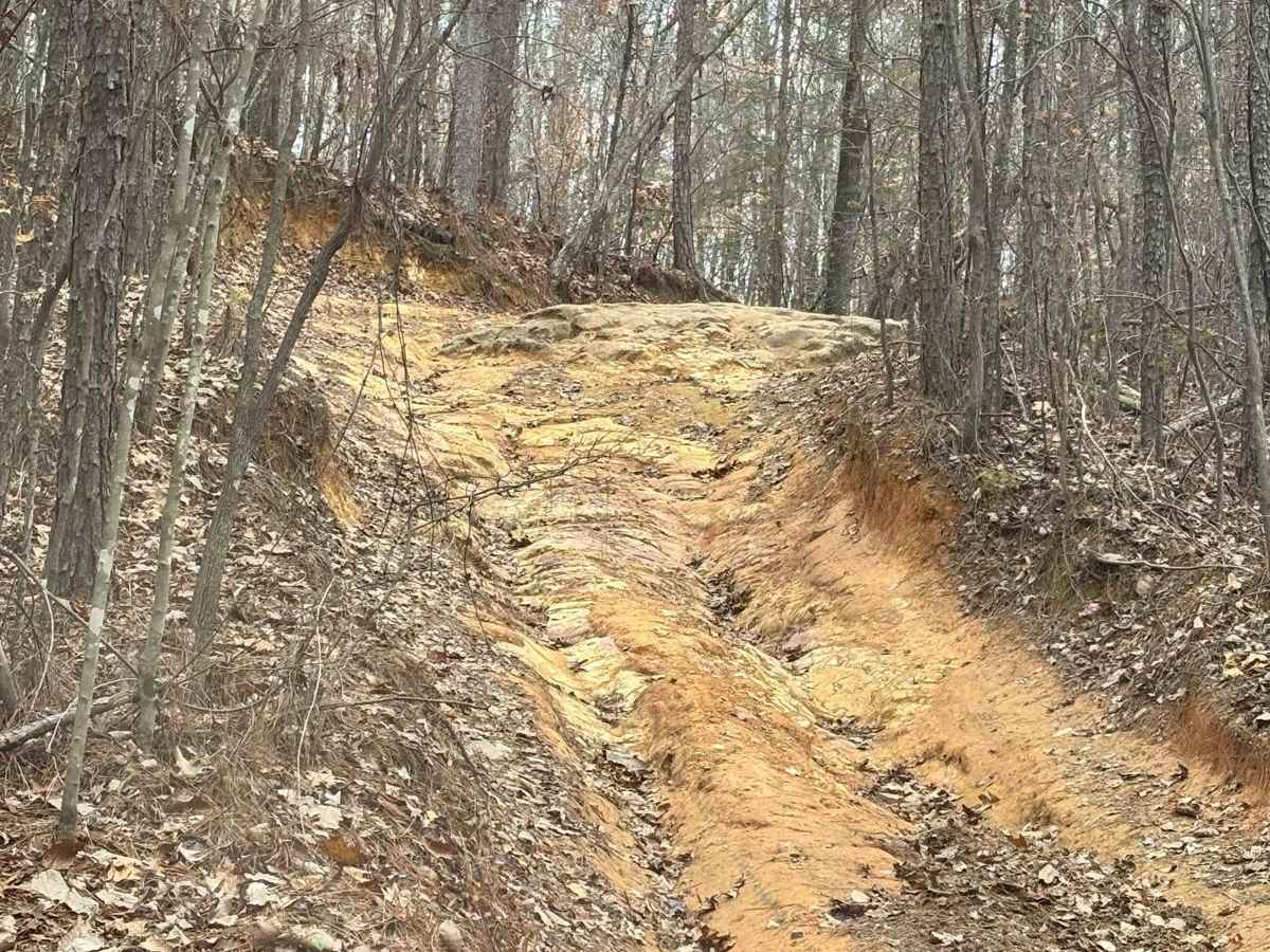 31A trail photo