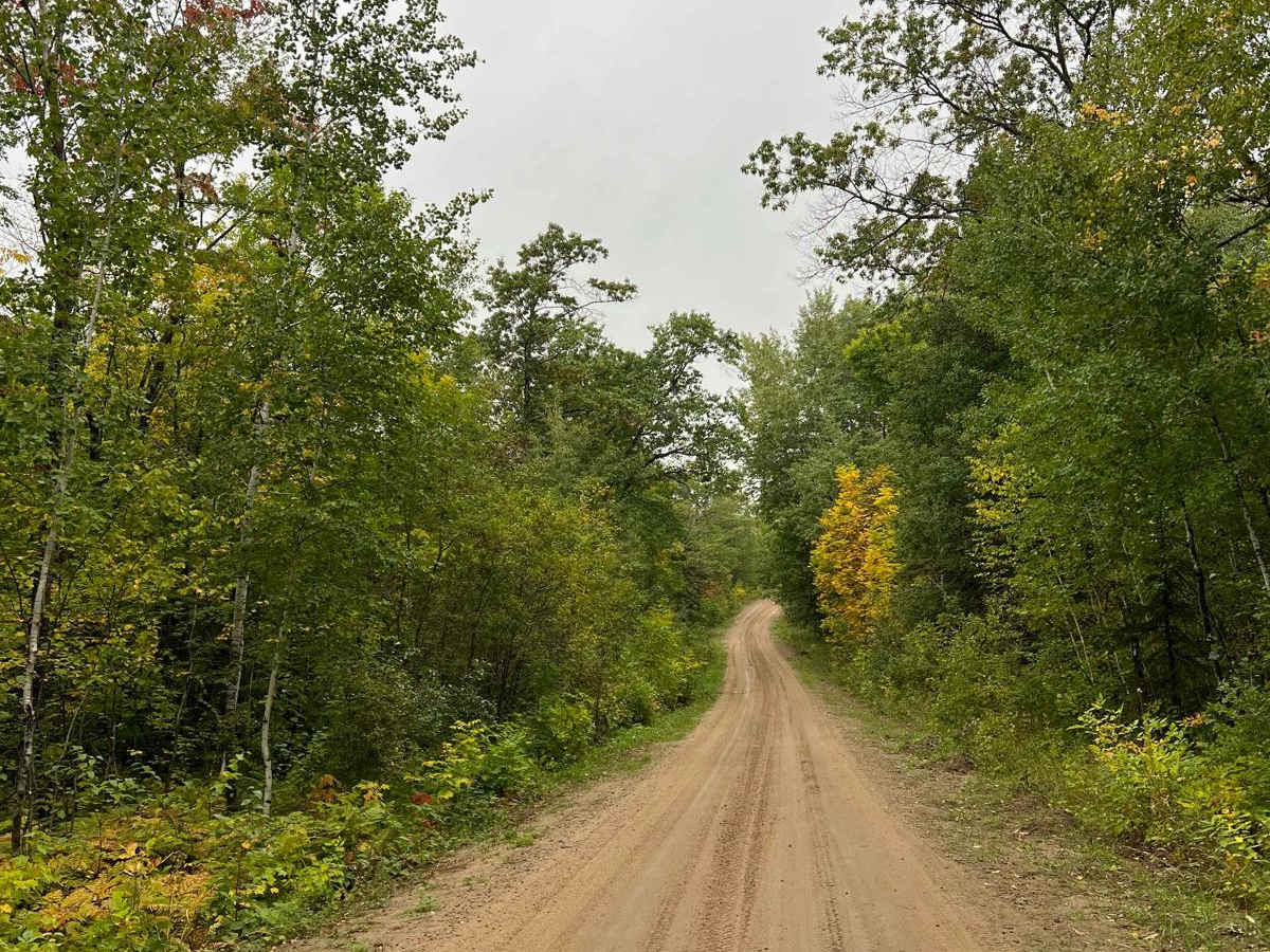Spider Lake North State Forestry Rd photo 2