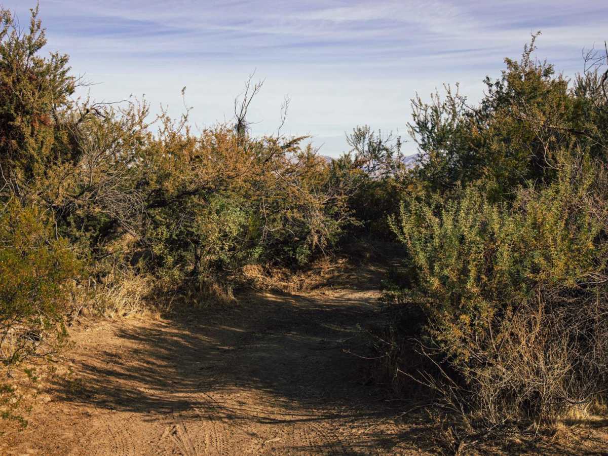 Network trail photo