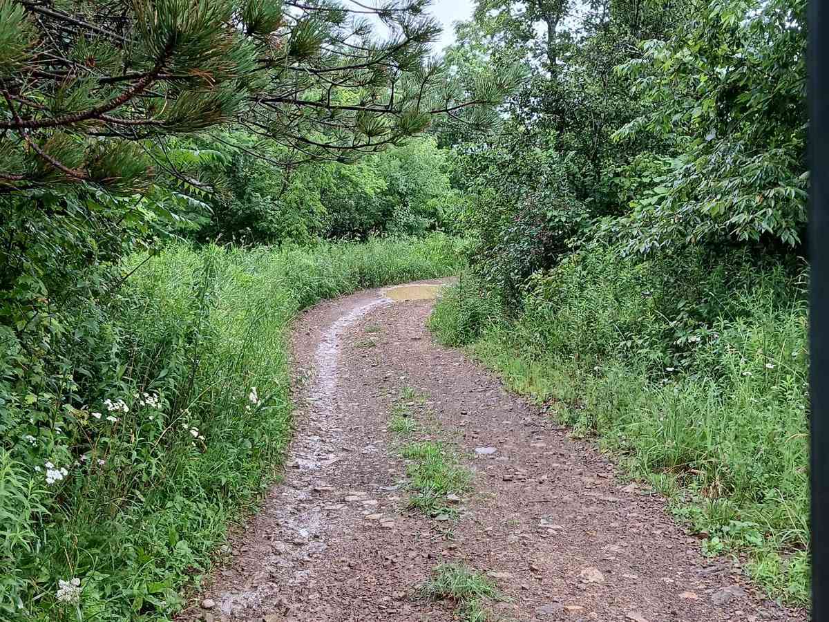 Trail 3A - Rock Run Recreation Area photo 5