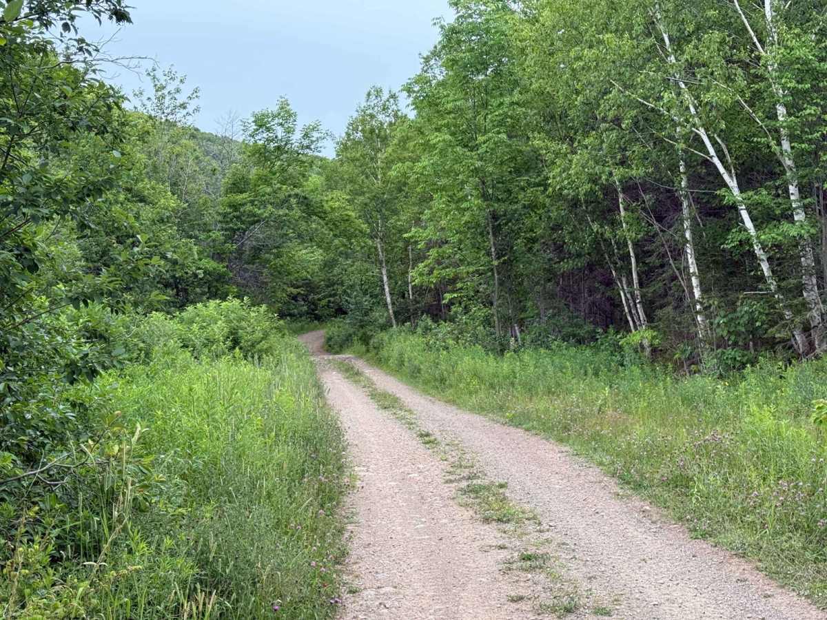 Lewis Mountain Road photo 3