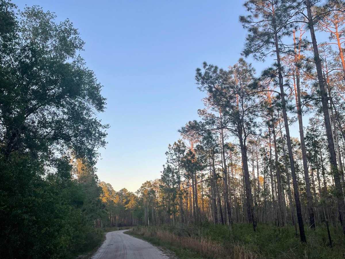 Richloam Wildlife Area: Center Grade Road photo 2