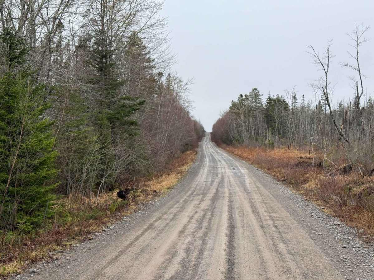 Route 99 photo 6